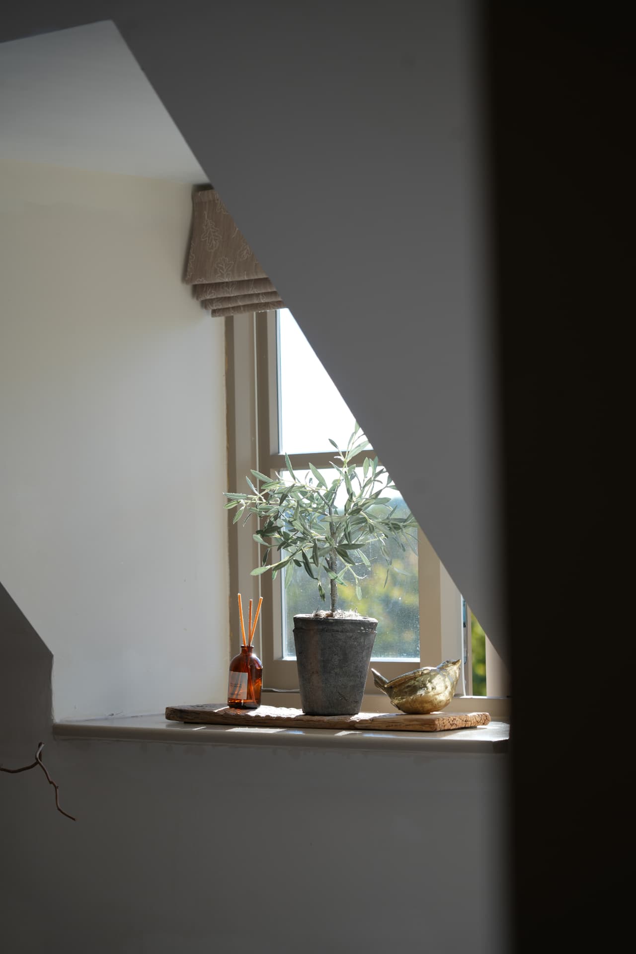 Diffuser and olive tree on the windowsill